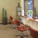 organic hair salon Le